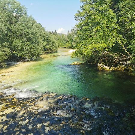 Apartma Neva Bohinj Bagian luar foto