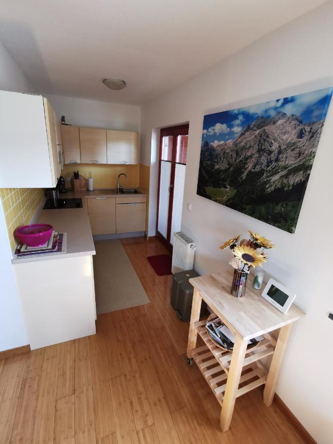 Apartma Neva Bohinj Bagian luar foto