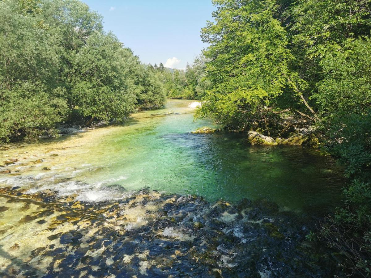 Apartma Neva Bohinj Bagian luar foto