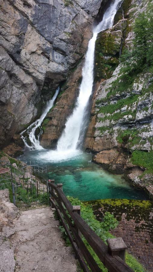 Apartma Neva Bohinj Bagian luar foto