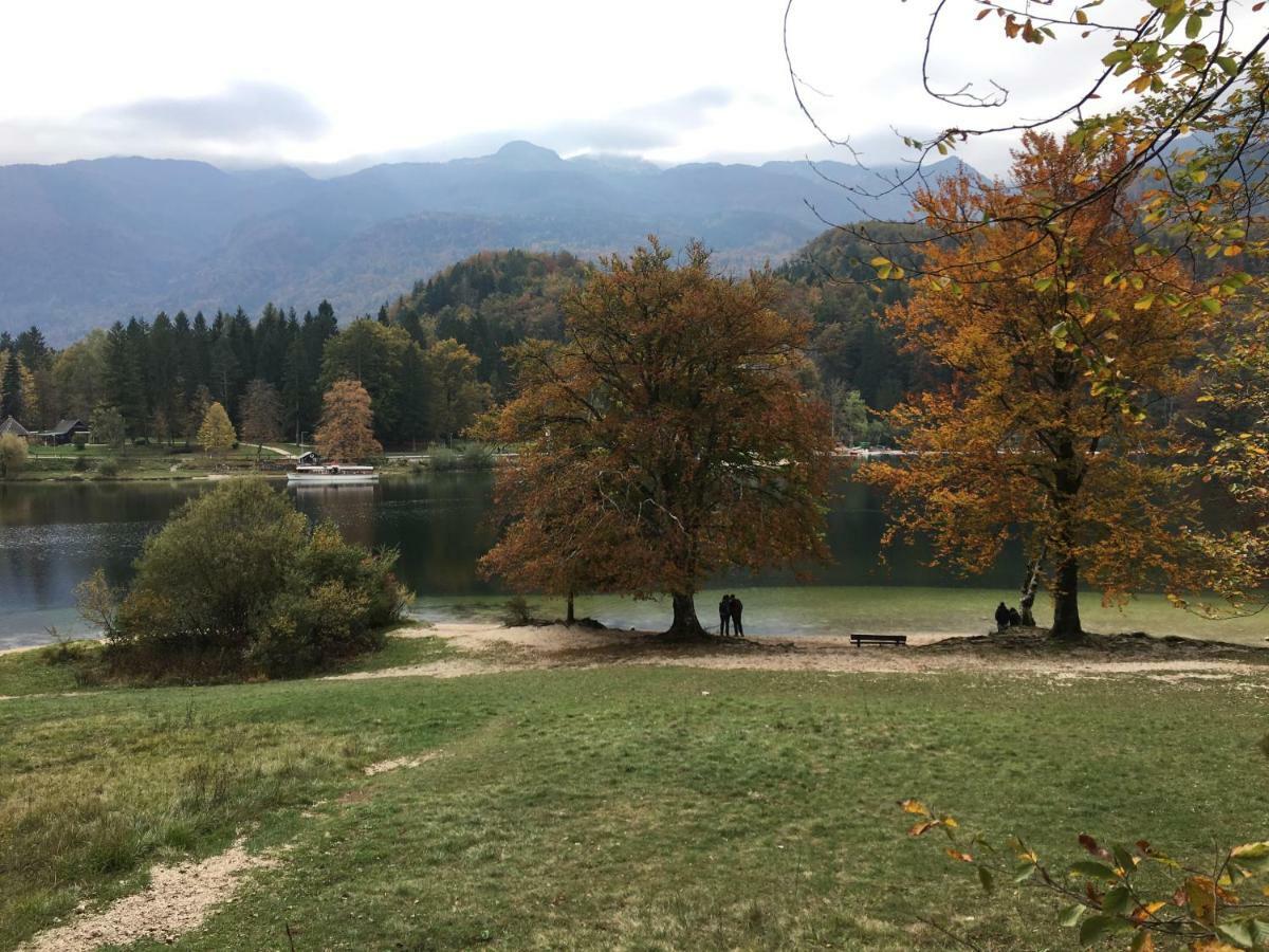 Apartma Neva Bohinj Bagian luar foto