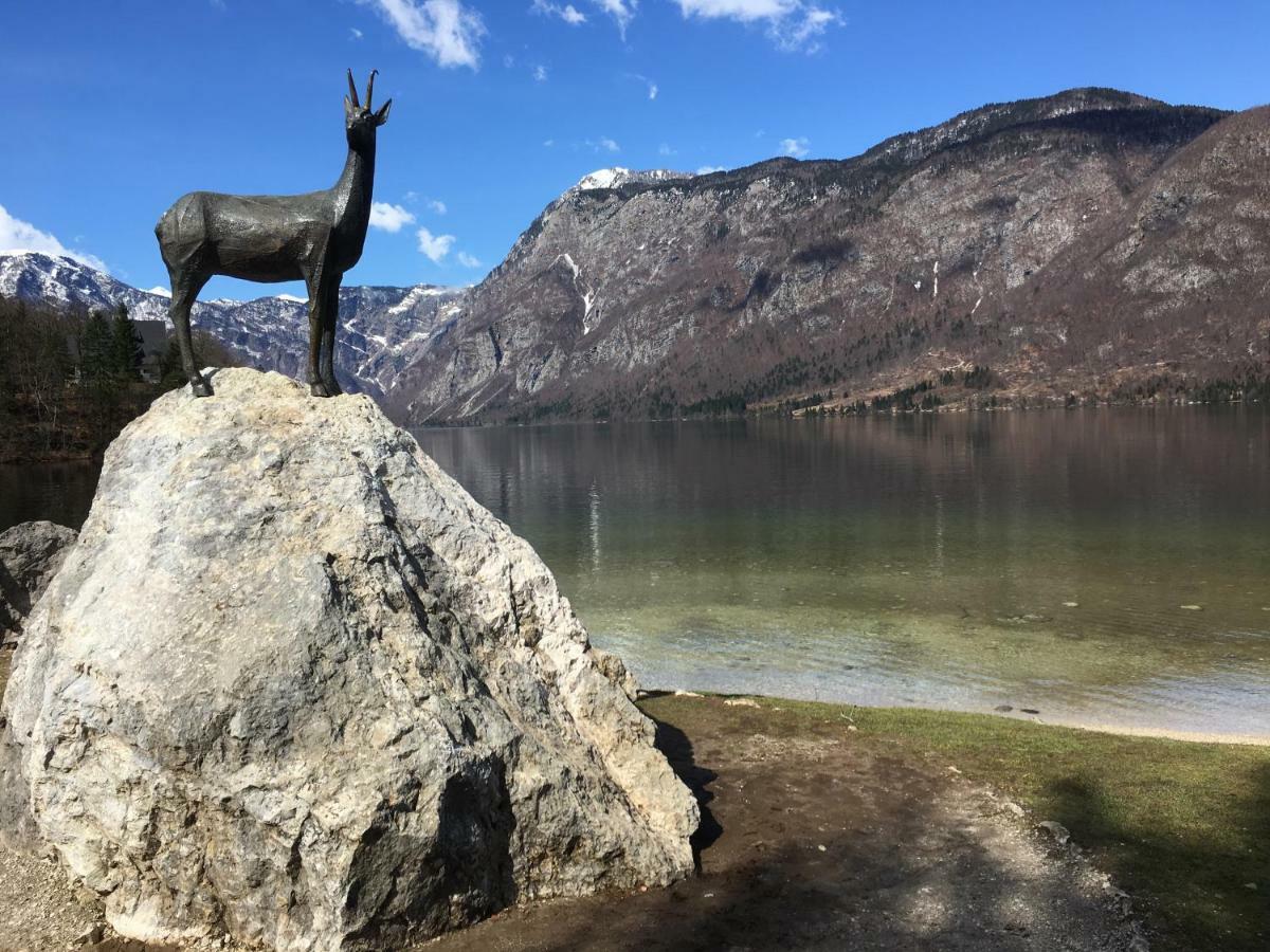 Apartma Neva Bohinj Bagian luar foto